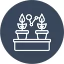 Plant Propagation
