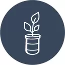 Tissue Culture