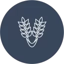 ​Perennial Ryegrass