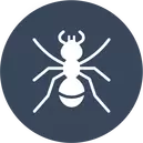 Ants