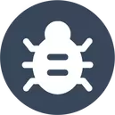 Bed Bugs
