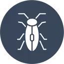 ​Boxelder Bug Control