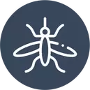 Mosquitoes