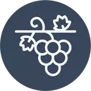 Vineyard & Orchard