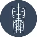 Plant Support