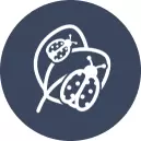 Biological Controls