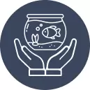 Fish Care