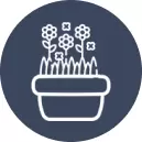 Flower Pots