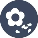 Flower Seeds