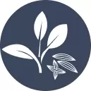 Herb Seeds