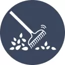 Leaf & Yard Cleanup