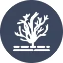 Moss, Mold & Algae Control