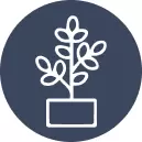 Nursery Pots
