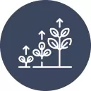 Plant Growth Regulators