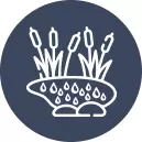 Pond Features