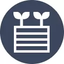 Raised Garden Beds