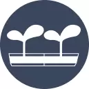 Seed Starting & Hydroponics