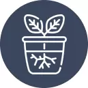Specialty Containers