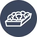 Trays, Inserts & Flats