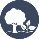 Tree & Plant Supports