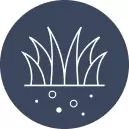 Turf