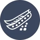 Vegetable Seeds