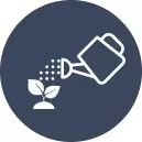 Water Gardening Accessories