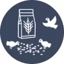 Wild Bird Seed