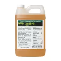Synergy Biofungicide - 2.5 Gallons