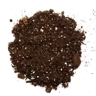 Sprout - Organic Seed Starting And Potting Soil Mix