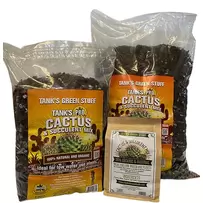 Succulent Mix - Tanks Green Stuff