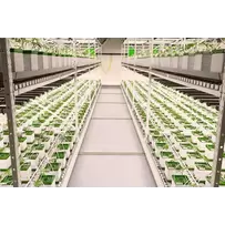 Racks and Shelving Options: Versatile Storage Solutions by BMH