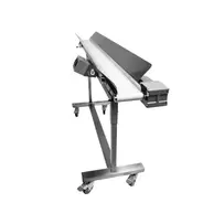 Mobius Infeed Conveyor