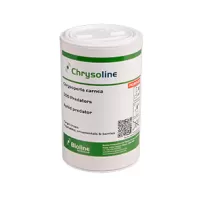 Chrysoline - Tube - 1000 Individuals