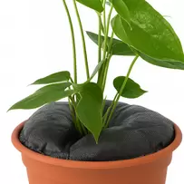TD10 Twin Pack (For containers-10 Inches)