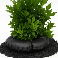 TD20 - For Plants In 20 Inches Containers Or In Ground Plants Of 10 Inces Rootball)