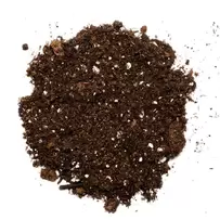 Sprout - Organic Seed Starting And Potting Soil Mix