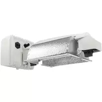 GAV 277/347 HR96 - OEM LAMP