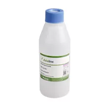 Adaline Larvae - Buckwheat - 1 Tube - 1000 Larvae
