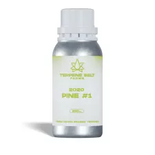 2020 Pine - 1
