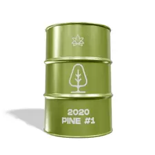2020 Pine - 1