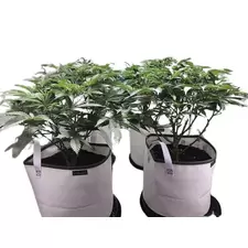 "Eclipse" Solar Shield Soil Protectors