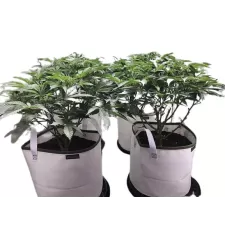 "Eclipse" Solar Shield Soil Protectors
