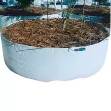 100 Gallon Grow Bag