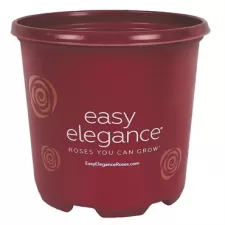 Dillen True 01.00 Gallon First Editions Nursery Pot, Thermoformed, 40 per Bundle, 117 Bundles per Pallet, 7.87in x 7.25in, 1.00Gal, 1Gallon