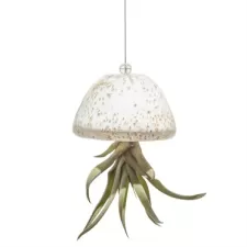 APM Air Plant Jellyfish White/Gold