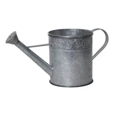 Pond Boss Watering Can Spitter And Planter Silver