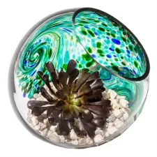 APM 7" Art Glass Terrarium Orb Lake Green