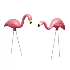 Bloem 2Pk Pink Flamingo