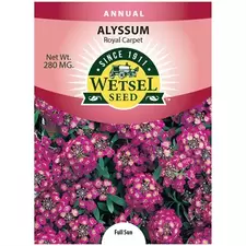 ALYSSUM, ROYAL CARPET 280 MG